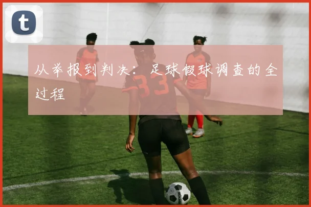 从举报到判决:足球假球调查的全过程