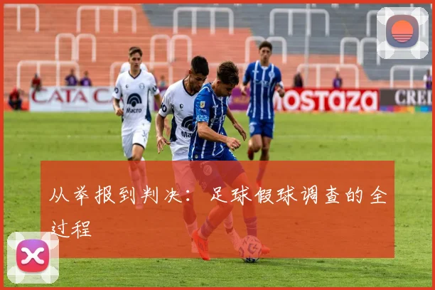 从举报到判决：足球假球调查的全过程