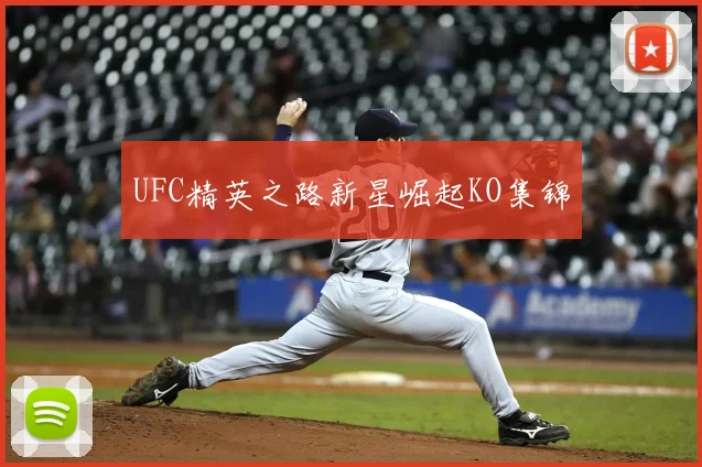 UFC精英之路新星崛起KO集锦