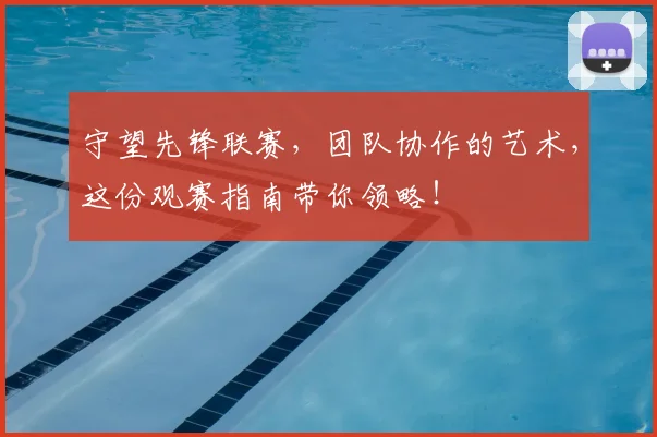 守望先锋联赛，团队协作的艺术，这份观赛指南带你领略！