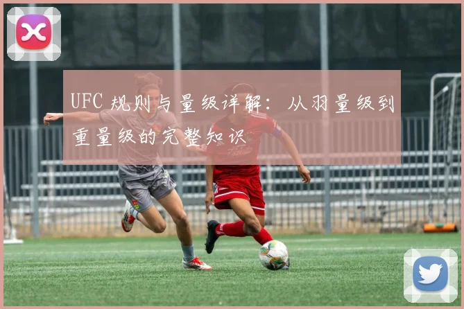 UFC 规则与量级详解:从羽量级到重量级的完整知识