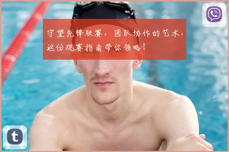 守望先锋联赛，团队协作的艺术，这份观赛指南带你领略！